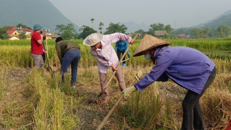  Chương trình phát thanh quam Tay thứ 4 mự 15 bườn 11 pì 2023