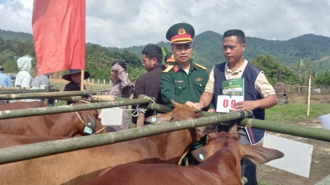 Đoọng tơơm chr’noh, m’ma bh’năn zooi đhanuôr 7 chr’val k’coong ch’ngai, k’noong k’tiếc Nam Giang (Quảng Nam)