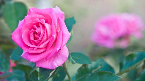 T'RUIH PA XƯL T'NGAY 3/11/2023