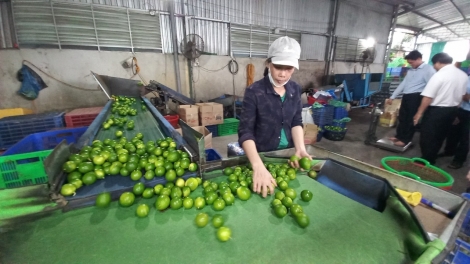 Cau tĕ khà pơyua jơnau kơlôi sơnơng bơta kơ̆p kờñ mờ Ƀộ trưởng Ƀộ Nông nghiệp mờ Phát triển Nông thôn