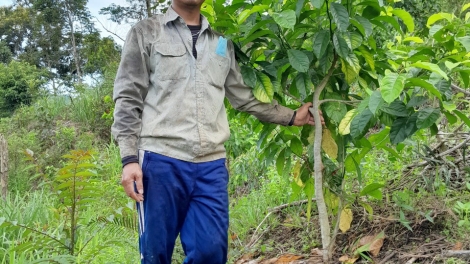 Đảng viên ti krĭng dlông Quảng Nam đru mnuih ƀuôn sang Kơ Tu tlaih ƀun.