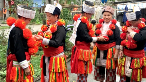 Lầy tzình  phát sinh ìu miền vả  hoi 15.11.2023