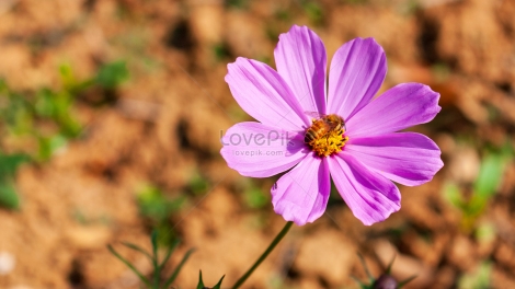 T'RUIH PA XƯL T'NGAY 2/11/2023