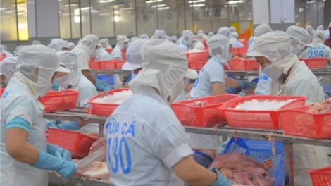 ការទាក់ទាញស្ថាប័នជំនួញវិនិយោគលើវិស្ស័យកសិកម្ម និងជនបទជួបការលំបាក ដោយសារបង្កប់ហានិភ័យច្រើន។