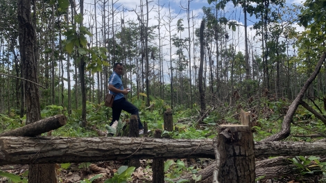 Dak Lak: Kơtưn bruă pơgang glai rưng Ƀuôn Yă Wăm tơdơi kơ arăng phă pơrai sui thun