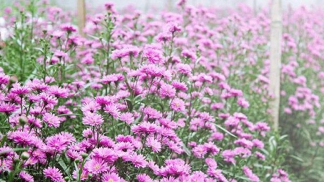 T'RUIH PA XƯL T'NGAY 12/11/2023