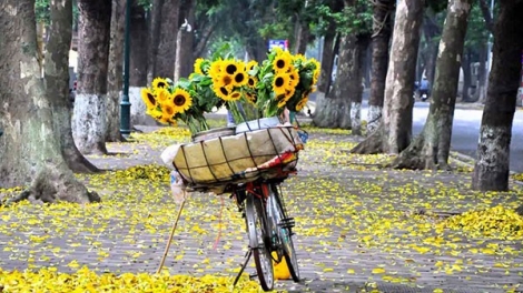 Có phải em mùa thu Hà Nội