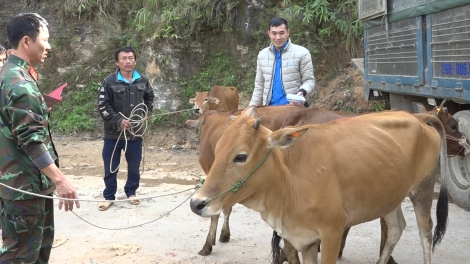 Tơdrong jang tơm teh đak: Hơtŏk klăih song hơdăh hơnăp jang, pơjao đon lui