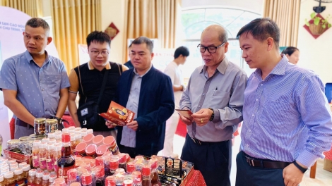 Dăk Lăk mờ Quảng Ngãi hòi jà kă bro mờ tàm tơrbŏ bal kă bro phan bơna OCOP