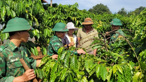 Kahan răng mgang knông lăn Gia Lai đru mnuih ƀuôn sang ti knông lănkpưn đĭ tlaih mơ̆ng klei dleh dlan  