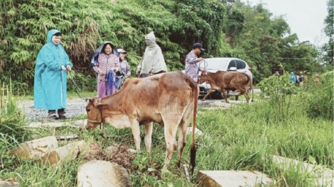 Da da ding ca coong Thừa Thiên Huế zư lêy bh’năn coh đhr’năng cha cêệt ra ngooh