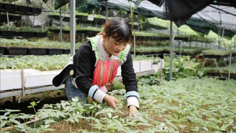 Pa dưr pa xớc tơơm zanươu chr’nắp pr’hắt zr’lụ đhanuôr acoon cóh