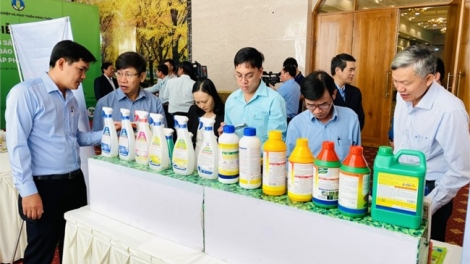 ពត៌មាន ម៉ោង ១៥