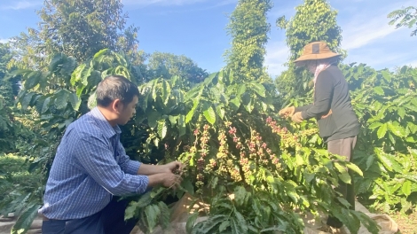 Tơlơi bơwih ƀong huă ƀơi kual Dap Kơdư thun 2023 rŭ glăi hiam