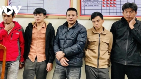 Quảng Bình: Apêê huông lết đơơng máy cưa moọt ooy crâng tông col  pay 40 tấn keo tràm âng đhanuôr