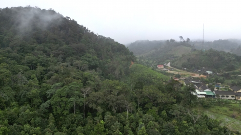 T’vaih bh’nơơn chr’năp tơợ pazêng tơơm chè đanh c’moo đhị An Toàn, Bình Định