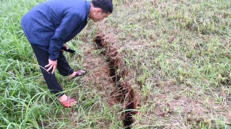 N’leh cr’đooh ga măc đhị zr’lụ Trạm khí tượng Trà My (Quảng Nam)