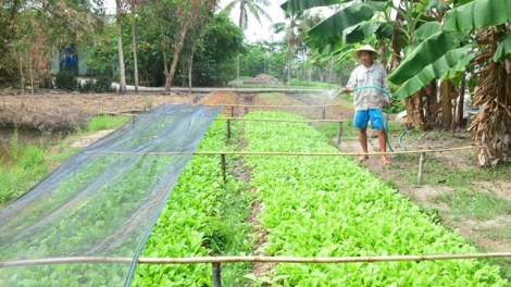 ការរីកចំរើននៅតំបន់ជនរួមជាតិខ្មែរនៅតឹងឡុក។