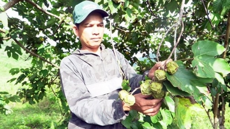 BH’RỢ TR’MUNG T’MÊÊ VÊY PA DƯR ZÊN PA CHÔ HA ĐHANUÔR K’COONG CH’NGAI QUẢNG TRỊ