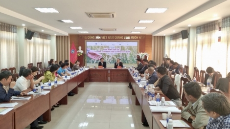 Dak Lak ĕp hơdră ngă hmua pơhrŏ ƀiă djah sat hăng pơđĭ hnong pơhrui glăi pơdai braih 