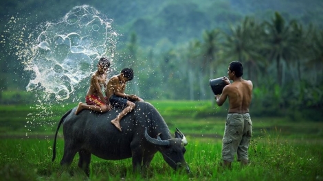 LÝ SO LE (Bài chòi Quảng Nam)