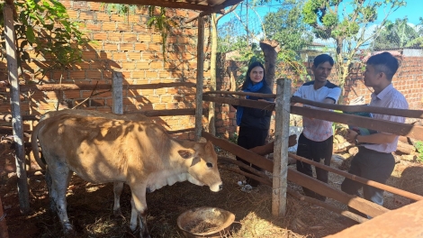 Gia Lai: Ngăn rơnoh hơdră bruă djru mơnuih ngă tui tơlơi tơhmal dô̆ amăng sang mơnă phing kơ pran hrưn đĭ 