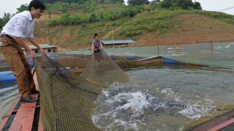 Ngon tô thứ 3 mự 02 căm bườn 01 pì 2024 – Côn dần phổng nhại dần thuỷ điển Sơn La hăng mi ók pưa tảnh liệng pà công