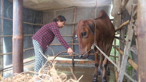 លើកកម្ពស់ប្រសិទ្ធភាពការងារកាត់បន្ថយភាពក្រីក្រនៅតំបន់ជនរួមជាតិបណ្ដាជនជាតិភាគតិច។