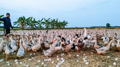 URANG NONG TÂY NINH, RAONG ADA MEBOH ANGAOK THU, MEK TAME JIEN TRIỆU YAOK HAREI