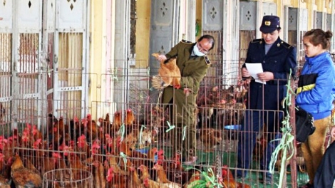 T’BHLẦNG BH’RỢ CHA MÊỆT LÊY LÂNG CHÊÊC LÊY TƠƠM RIAH CƠNH LÂNG BHIỆC ÂNG ĐƠƠNG A ĐHĂH DZĂM, PR’ĐƯƠI TA BHRỢ TƠỢ A ĐHĂH DZĂM PA CÂL