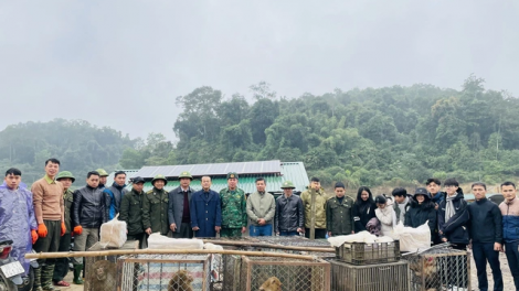 P’LOH 30 P’NONG A ĐHĂH CHÔ OOY CRÂNG