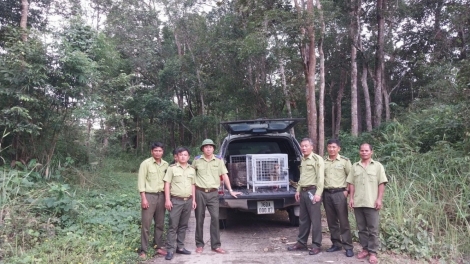 GIA LAI: 67 RÂU AĐHĂH ACHỊM VÊY TA P’LOH OOY CRÂNG