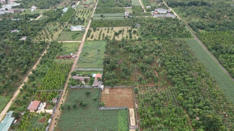 Neh ntu “bĭch puh”, âk nuĭh ntuh kơl ât n’hâm kâp năm 2024 săk ntơr