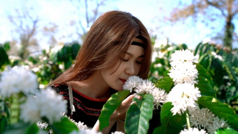 Cô nàng xinh đẹp