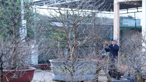 Dak Lak: Rơhĭng rơhối kơchơ tê mơdró Têt