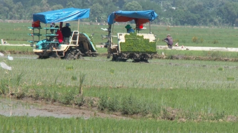 ĐỒNG NAI: PAMBUAK GAUK NGAK LAC JALAN NAO KHANG KAJAP KA BRUK NGAK NONG