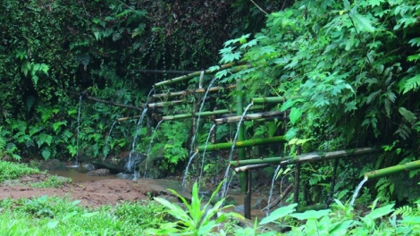 Brê tàm rài kis niam chài kòn cau Rơđê 