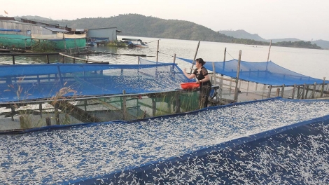 Nkuăl n’har bri Ia H’Drai-ntŭk ang n’huch ach o bah n’gor Kon Tum