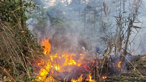 Lâm Đồng khut khăt ngă hơdră pơgang, prah apui ƀong glai 