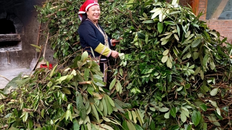 Lầy tzình  phát sinh ìu miền vả hoi 15.2.2024