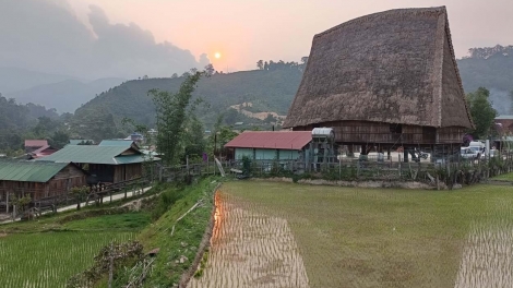 Nắng gió Cao nguyên