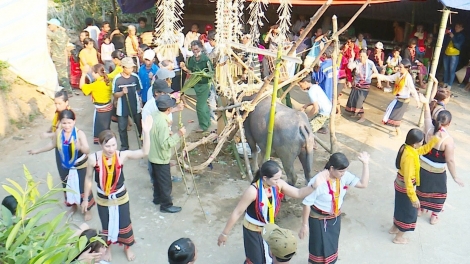 MANỨIH CA DONG CÓH TRÀ BUI BHRỢ BHIỆC BHAN ĐẮH TA RÍ