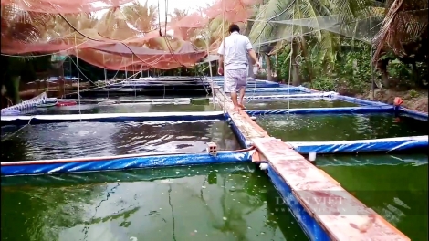 TIỀN GIANG: NGAK KAYA MADA MENG BRUK RAONG IKAN IEIK MAIN