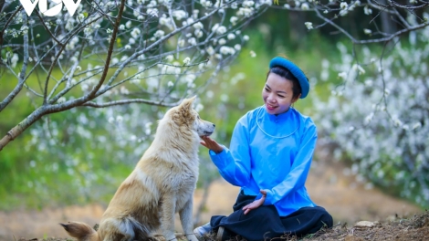 CHƯƠNG TRÌNH KHAY HENG TÀY - NÙNG - Thứ Tư, Vằn 21 bươn 2 pi 2024