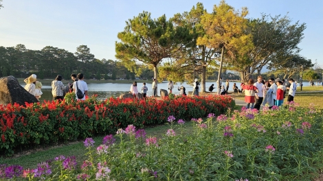 Dà Làc gơguh mờr 62% khà cau năc lòt nhơl pơn drờm mờ satềp nam lài