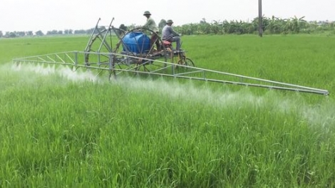 Ngế ki bu hriâm klêi lâm 7 tê kơmăi xúa tung pêi chiâk troh a lâp plâi tơnêi