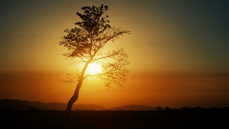 Nắng gió Cao nguyên