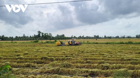 ពត៌មាន​ម៉ោង៦