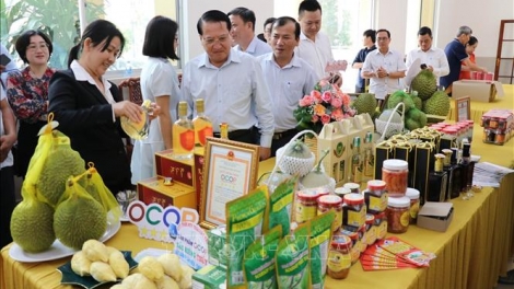 TIỀN GIANG KHAM MARAT HU VEIK 50 PANDAP ANGAN JE DI BHUM PALEI HU POK BREI ANGAN LAC MEK HU TANUT CHUAN OCOP