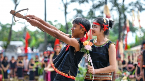 Rủ nhau đi hái rau rừng